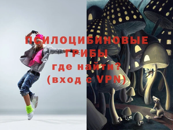 скорость Козловка