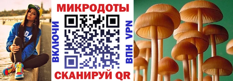 Псилоцибиновые грибы GOLDEN TEACHER  MEGA   Красноперекопск 