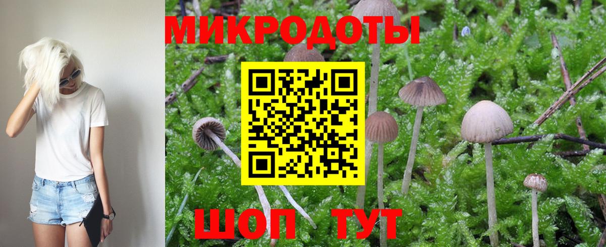 Псилоцибиновые грибы мицелий Красноперекопск