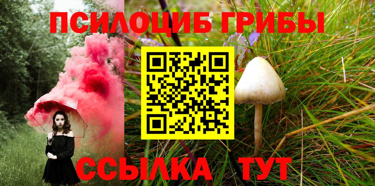 магазин    Галлюциногенные грибы Psilocybe  Вход с VPN  Красноперекопск  Галлюциногенные грибы мицелий 